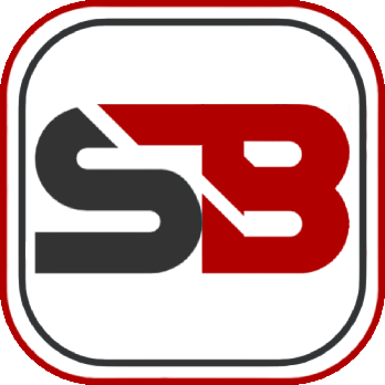 ShyBiz Red Logo